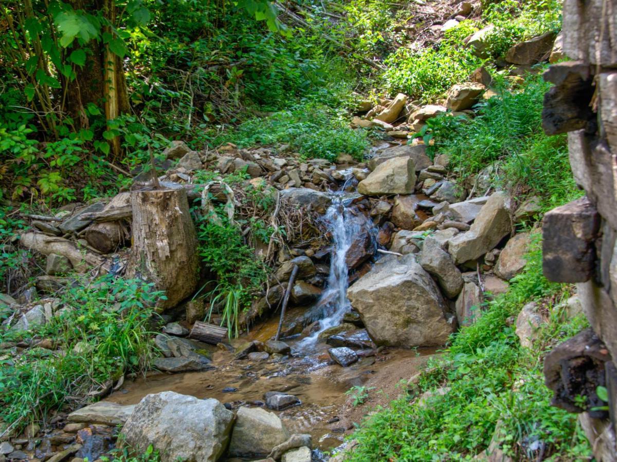 Willa Bearly Hidden Gatlinburg Zewnętrze zdjęcie
