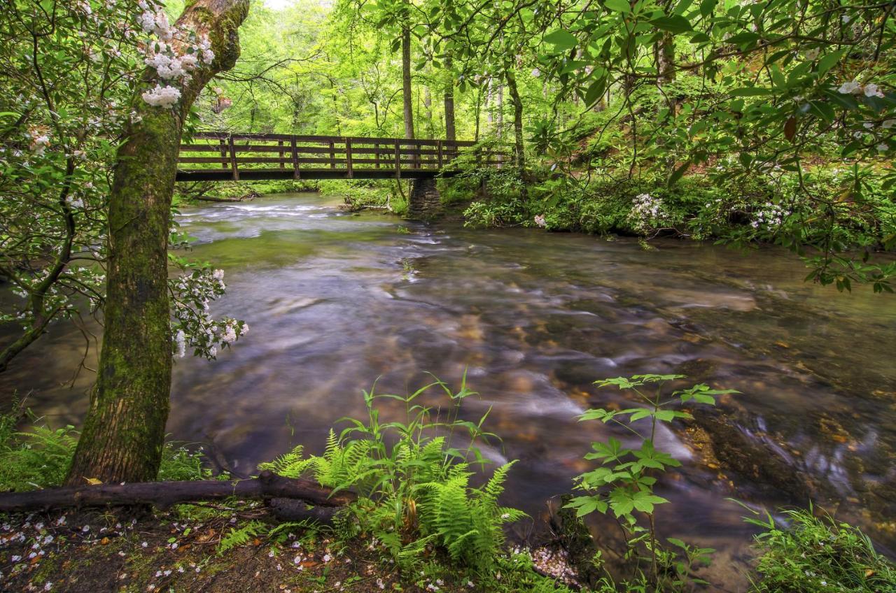 Willa Bearly Hidden Gatlinburg Zewnętrze zdjęcie
